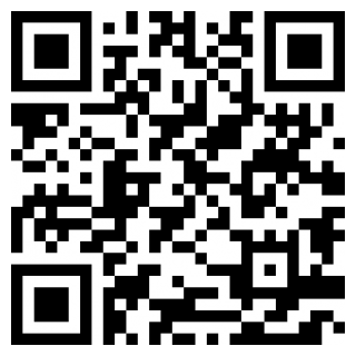 假日飞车下载安装手机版