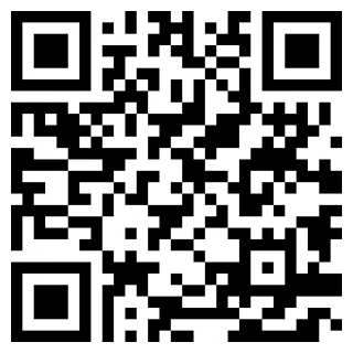 夜店安检保安苹果版免费版