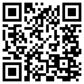 车300专业版app手机版