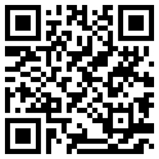 掌上鸡西2026安卓下载