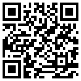 雕花大师手机版