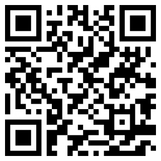 小鸟爱飞翔安卓版