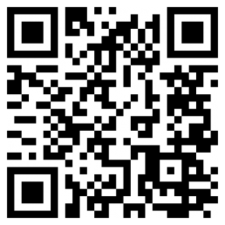 无赖骷髅海盗斗争手机下载免费版