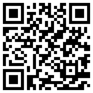 代练丸子app下载最新版