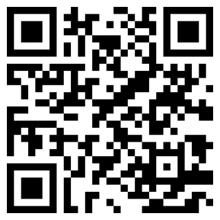 小鸡模拟器2022版下载