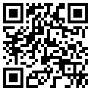 中本聪币手机端下载安装