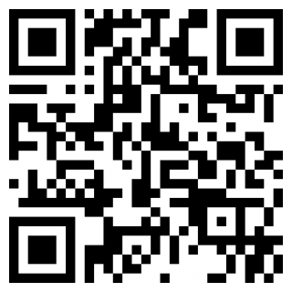 派币浏览器下载官网手机版