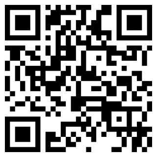 派币app官网登录入口手机苹果下载