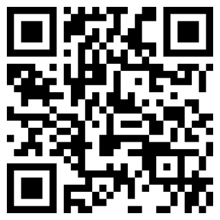 WAVS币小白使用安装包官方下载