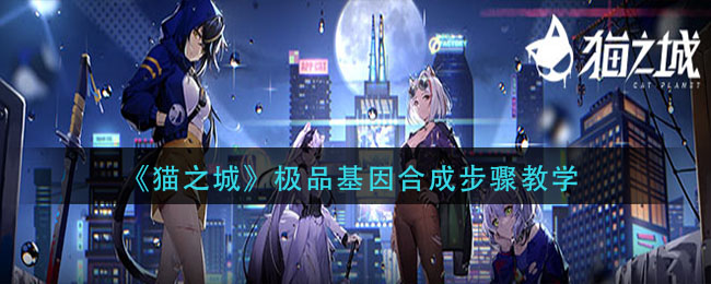 猫之城极品基因合成步骤教学[图1]