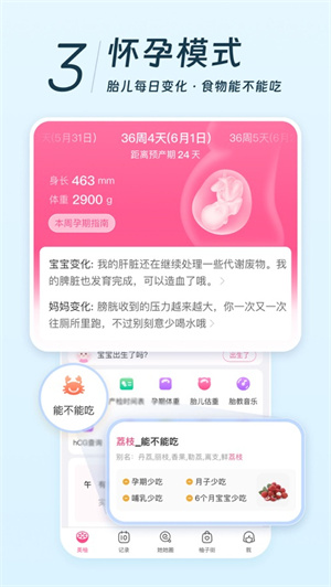 美柚app2024免费下载安卓