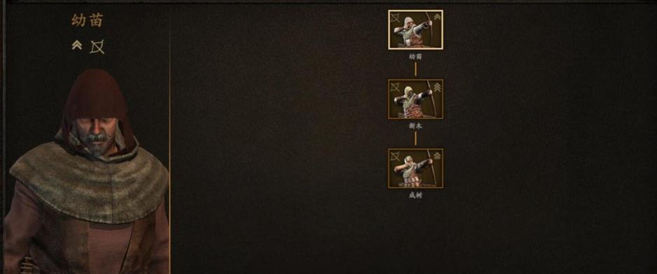 《以骑马与砍杀2》画面卡顿解决方法大全（多种方法让你轻松解决游戏中的画面卡顿问题）