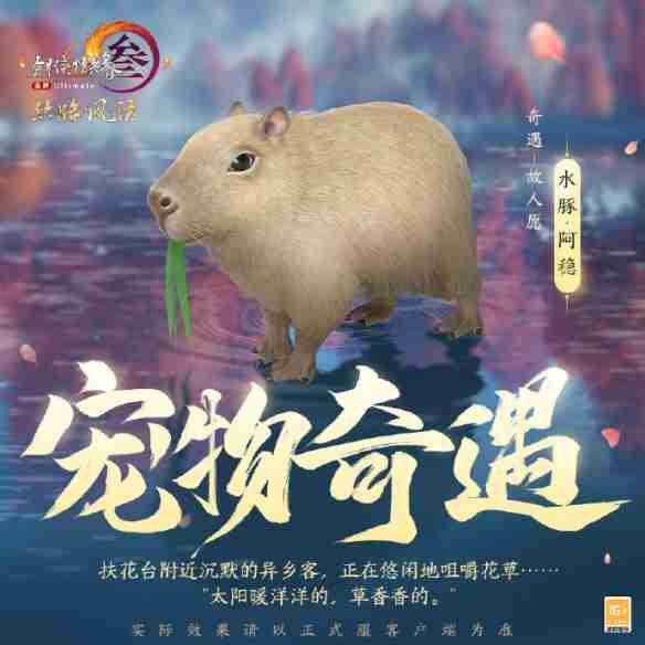 《剑网3》丝路风语新增宠物奇遇一览