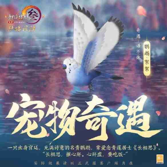 《剑网3》丝路风语新增宠物奇遇一览