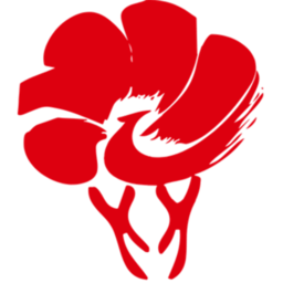 放新办城市生活下载ios版本