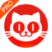 猫眼专业版手机下载免费版