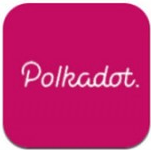 DOT币大陆能用冷钱包下载安装包