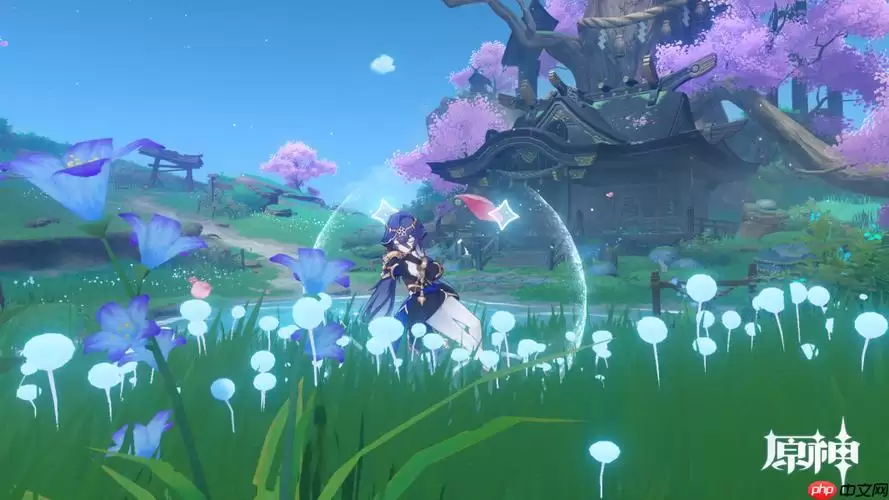 云原神账号绑定米哈游教程：手把手实现游戏进度同步