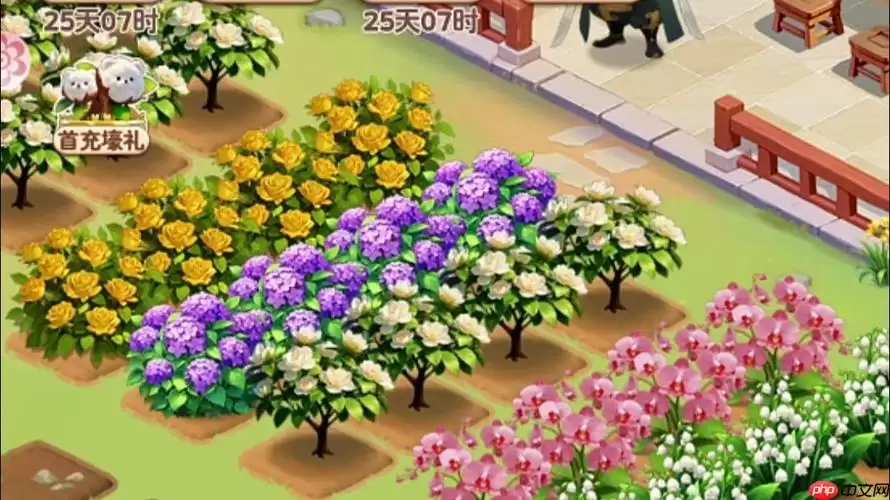 我的花园世界每日园艺任务指南：高效完成与奖励速刷