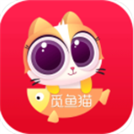 觅鱼猫ios版