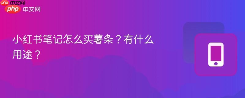 小红书笔记怎么买薯条？有什么用途？