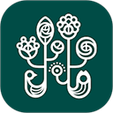 野兽派官方版安卓