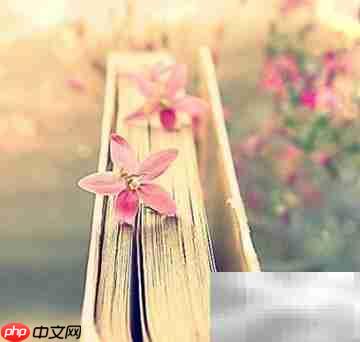 如何高效读书及注意事项