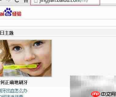 电脑打开WAP页面怎么办