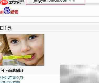 电脑打开wap页面怎么办