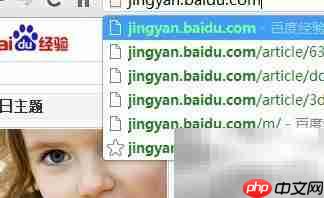 电脑打开WAP页面怎么办