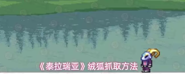 泰拉瑞亚绒狐获取指南：轻松捕捉方法详解