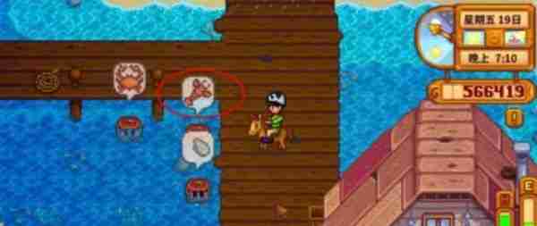 星露谷物语蟹笼的诱饵如何放置 蟹笼的诱饵放置方法