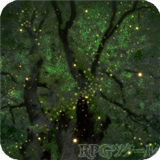 维洛卡之地下载安装2025版本