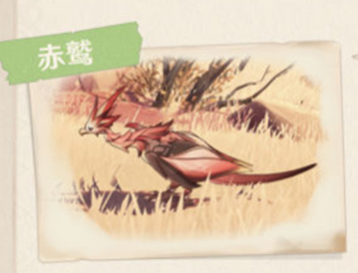 原神沙漠动植物一览