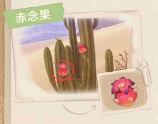 原神沙漠动植物一览