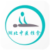 湖北中医推拿安卓最新下载安装
