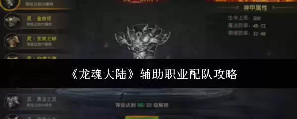 龙魂大陆辅助职业配队攻略：高效阵容搭配指南