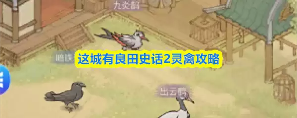 灵鹫宫攻略：良田史话2灵鹫院玩法详解