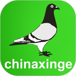 中国信鸽信息网官方版安卓版