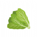 优汇菜商家版最新版