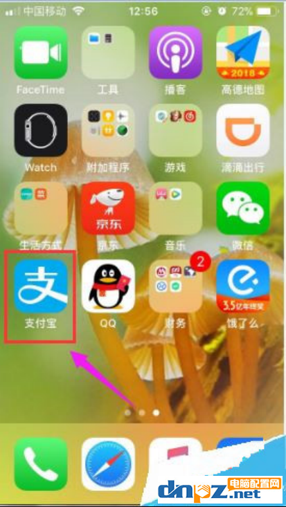 支付宝怎么清理储存空间？支付宝清理储存空间教程