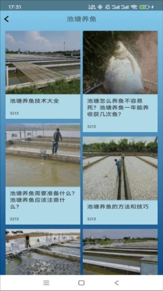 6a053d7847aa3.jpg?