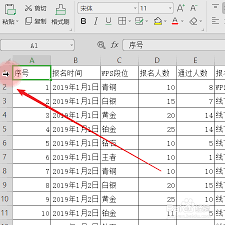 a50616494173.jpg.png